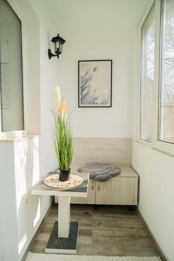Popasul Dacului Calator Apartment ฮูเนโดอารา ภายนอก รูปภาพ